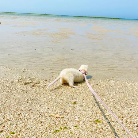 琉球温泉瀬長島ホテル