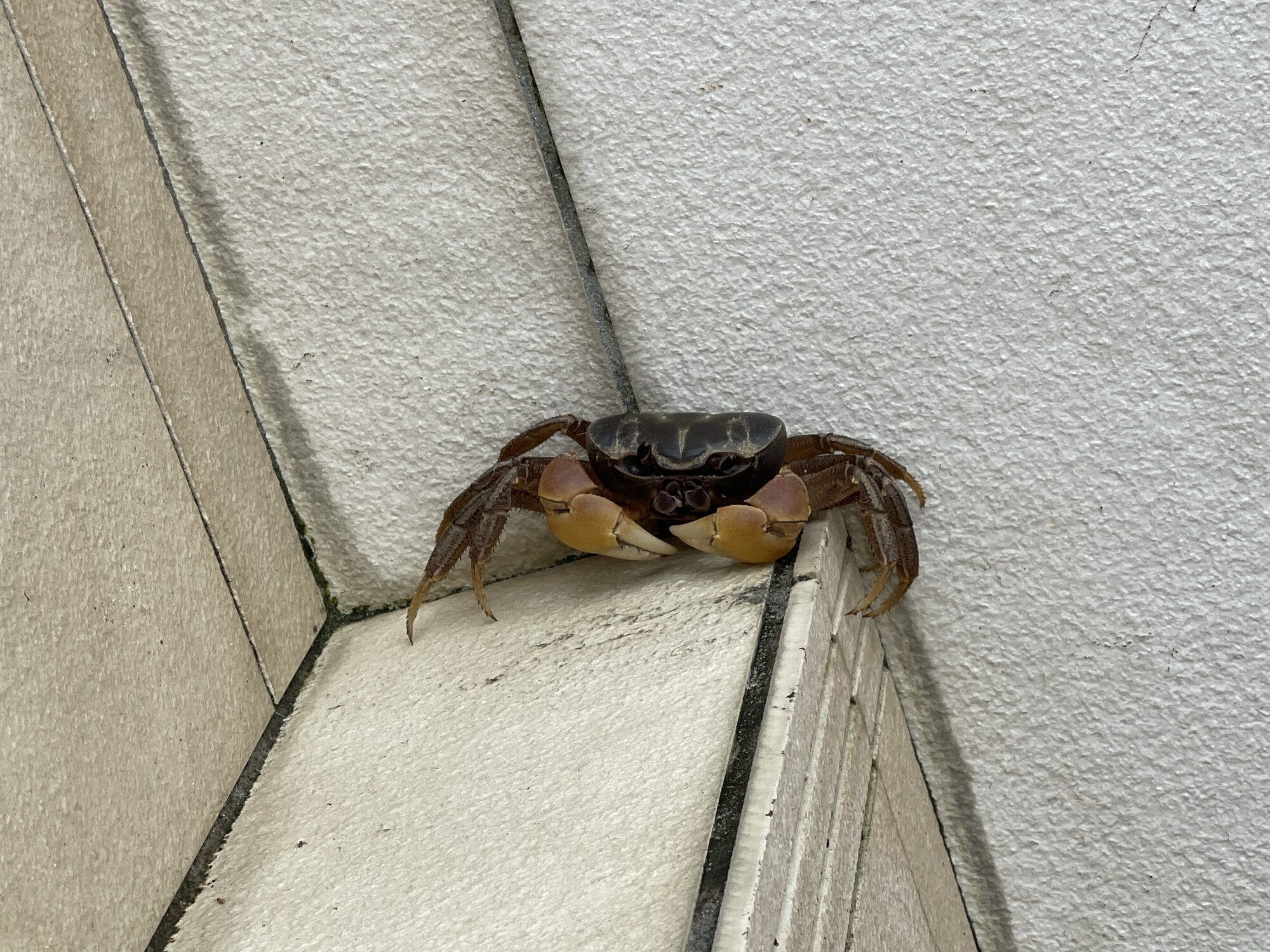 琉球温泉瀬長島ホテル