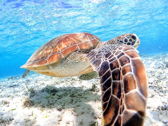 琉球温泉瀬長島ホテル