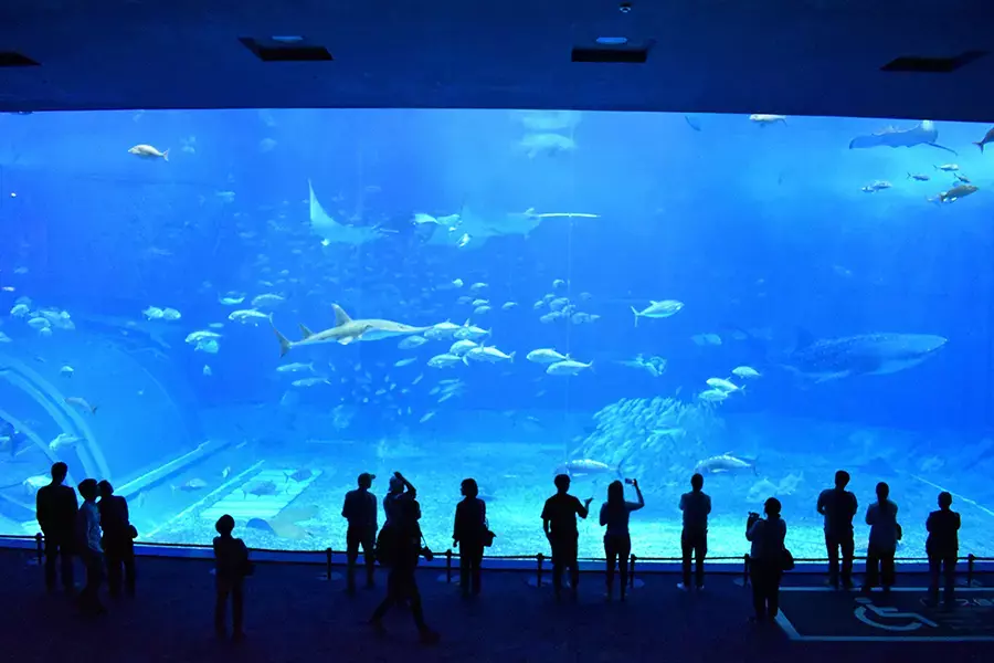 HOTEL SANSUI NAHA 観光 美ら海水族館