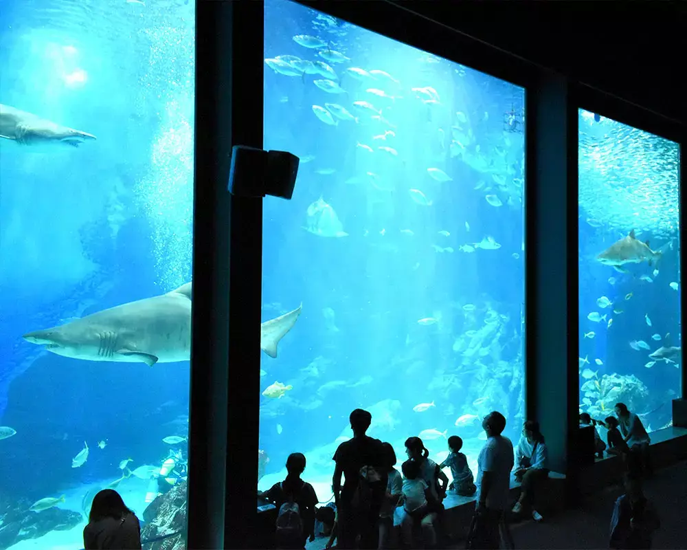 海の中道公園